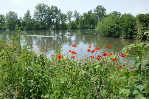 15.06.2025 Entlang der Maisach