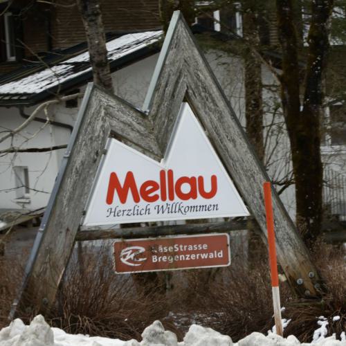 2025-02-01 Mellau 0005