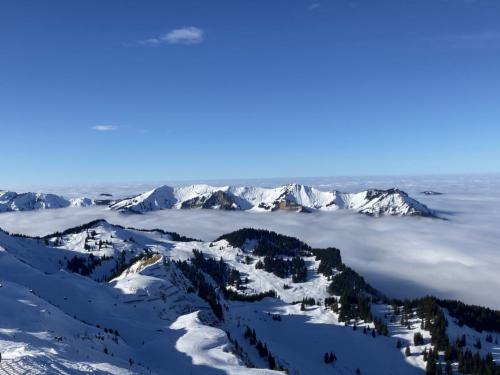 Nebelmeer über dem Bodensee