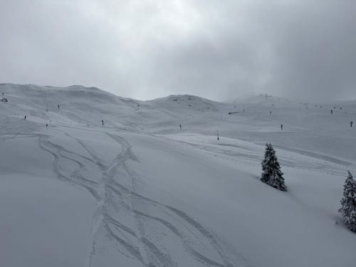 IMG-20250314-WA0002
