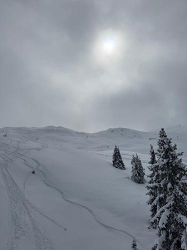 IMG-20250314-WA0005