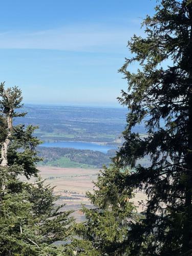 20250420 osterfeuerkopf 2