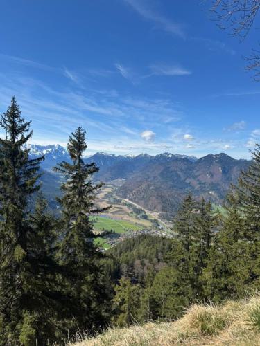 20250420 osterfeuerkopf 5