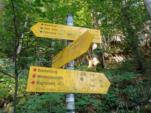 10.08.2025 Großer Riesenkopf