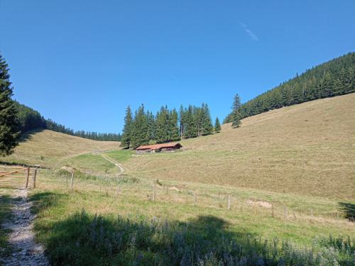 IMG 20250810 102327180