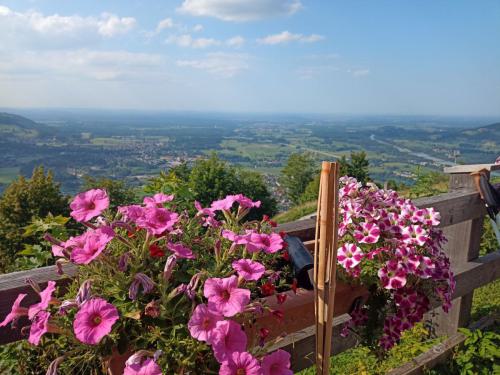 IMG 20250810 165318334