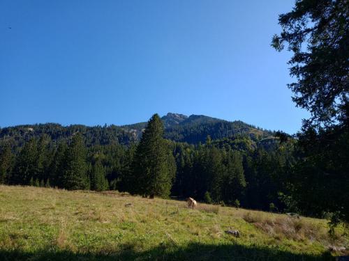 31.08.2025 Vilser Kegel