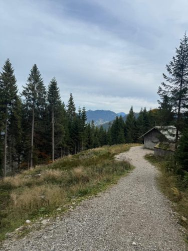 20251019 NiedereBleick 018a