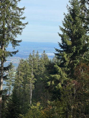 20251019 NiedereBleick 04