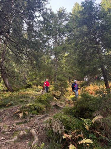 20251019 NiedereBleick 05