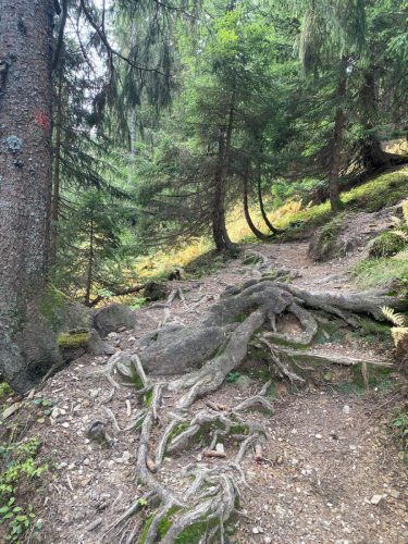 20251019 NiedereBleick 06