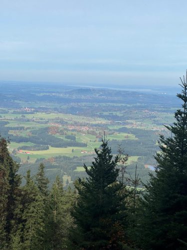 20251019 NiedereBleick 07