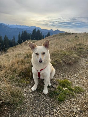 20251019 NiedereBleick 13