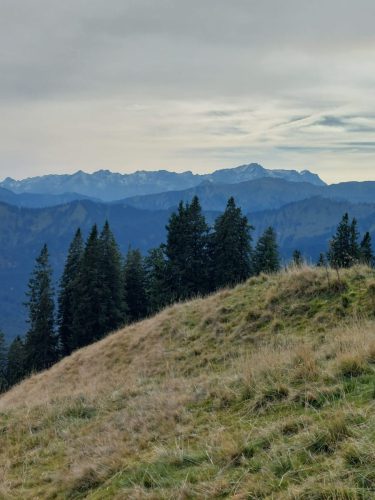 20251019 NiedereBleick 13bv