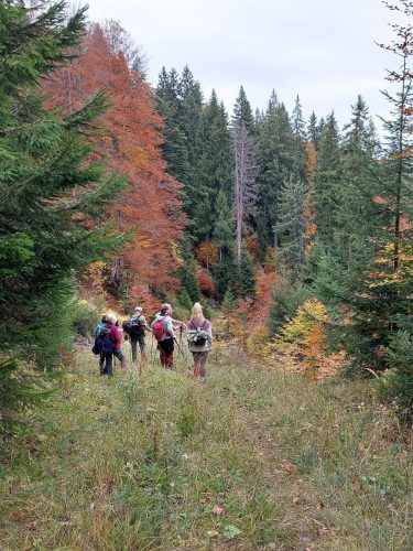 20251019 NiedereBleick 19