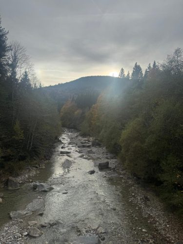 20251019 NiedereBleick 21