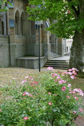 P1100903  xl