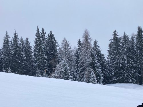 20260110 Wildschoenau 16