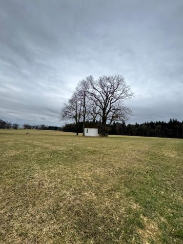 20260301 Schatzberg02