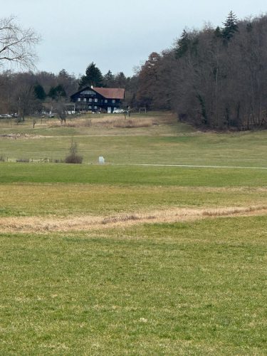 20260301 Schatzberg03f