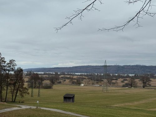 20260301 Schatzberg04