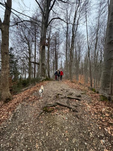 20260301 Schatzberg06