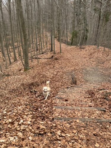 20260301 Schatzberg07