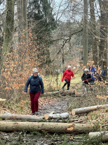 20260301 Schatzberg09a