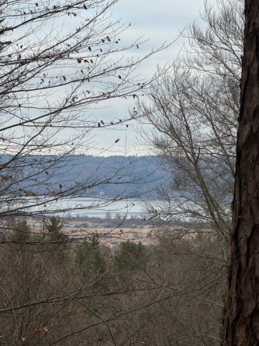 20260301 Schatzberg13