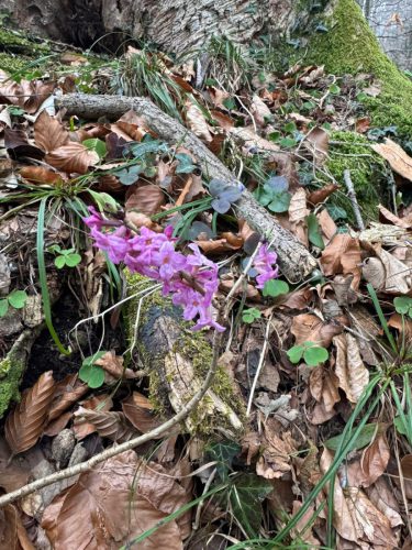 20260301 Schatzberg14