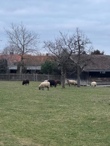 20260301 Schatzberg16