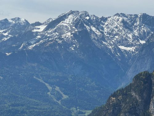 20260510 schafkopf 06a