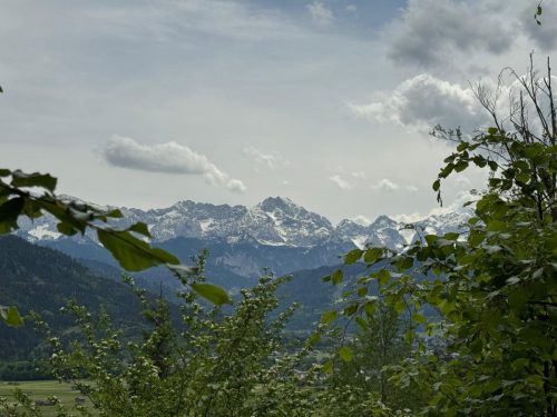 20260510 schafkopf 07