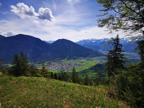 20260510 schafkopf 08