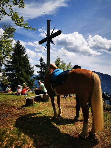 20260510 schafkopf 13