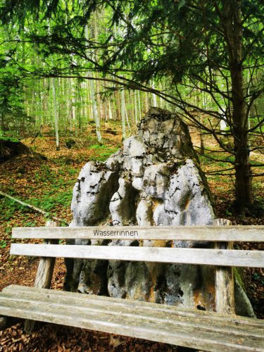20260510 schafkopf 19
